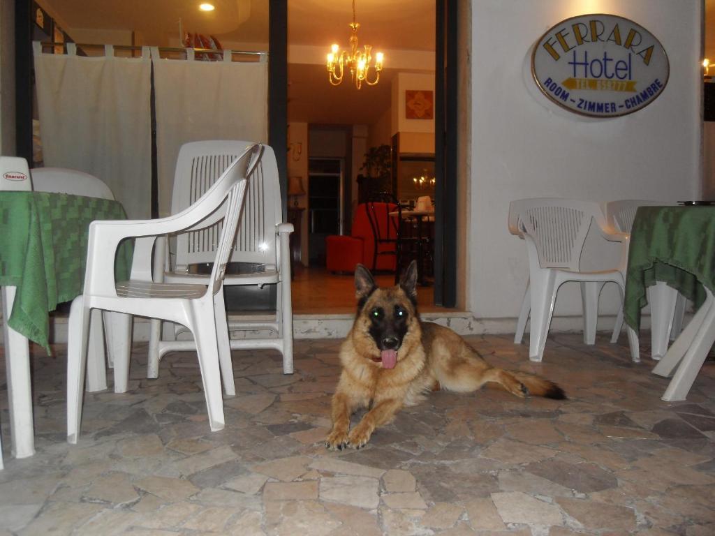 Hotel Ferrara San Benedetto del Tronto Luaran gambar